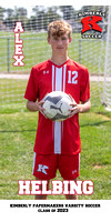 Alex Helbing Banner small